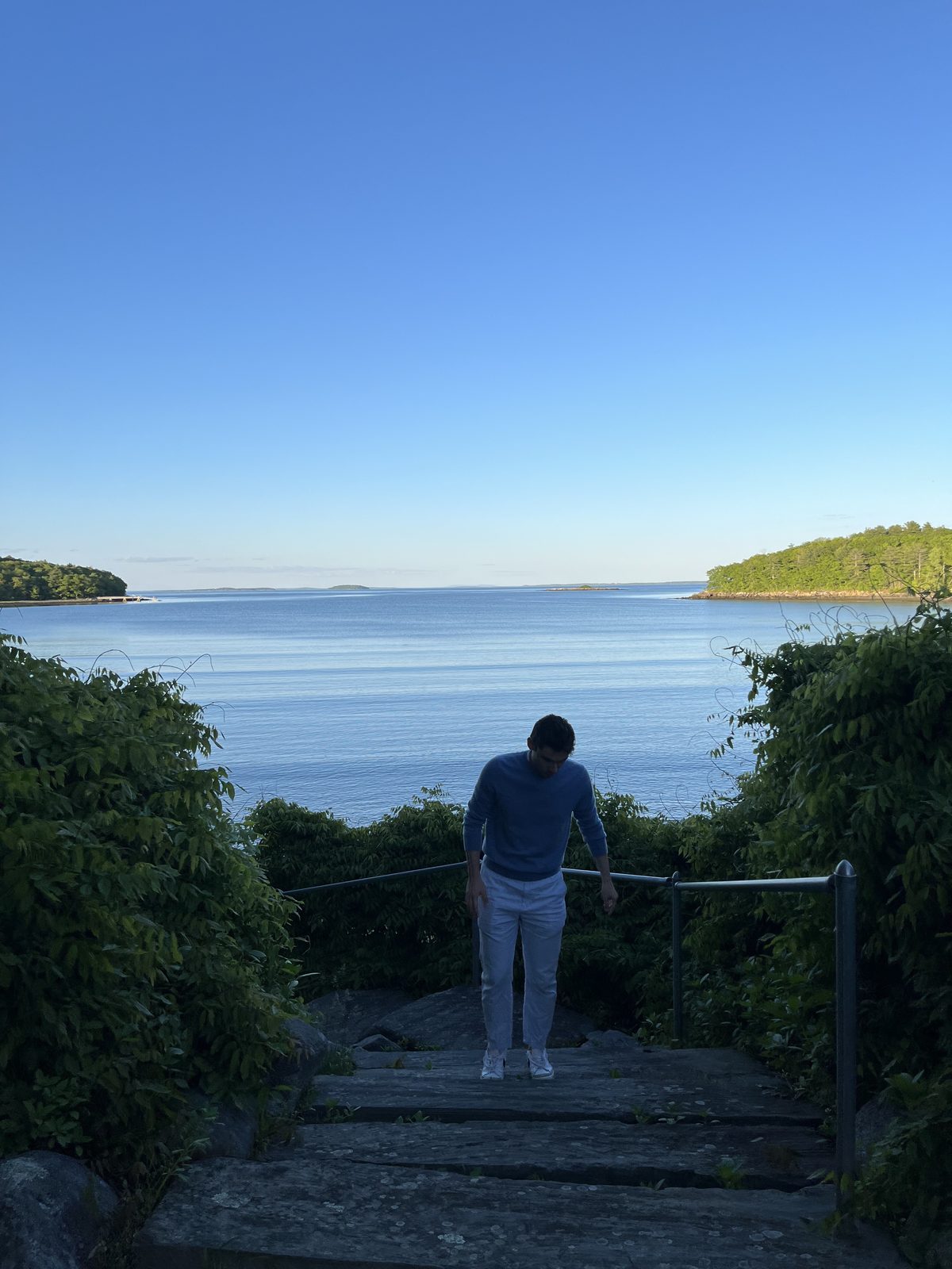 Sam Bird looking down on the Maine coast